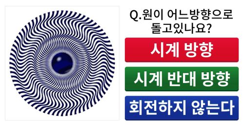 【진단】 원이 돌아가는 방향으로 보는 당신의 심리상태는?